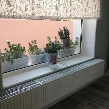 Solaria House ゲストハウス