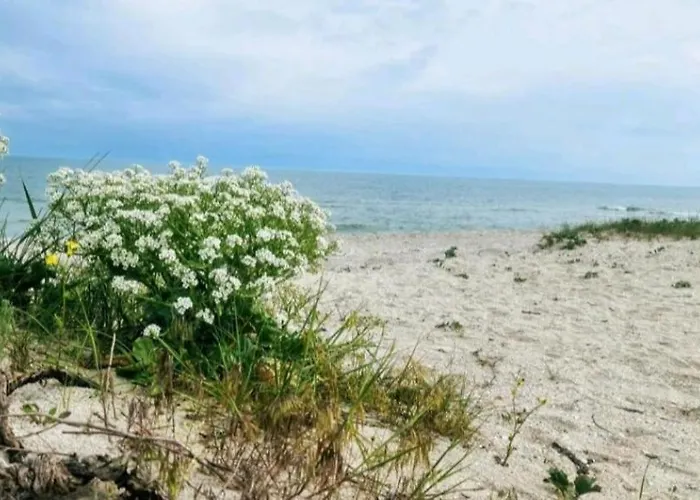 Solaria House ゲストハウス コンスタンツァ