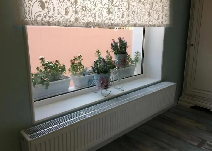 Solaria House ゲストハウス