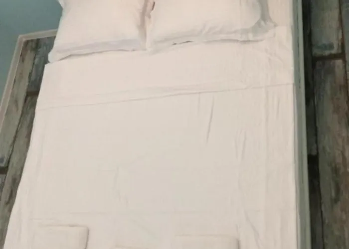 ゲストハウス Solaria House コンスタンツァ